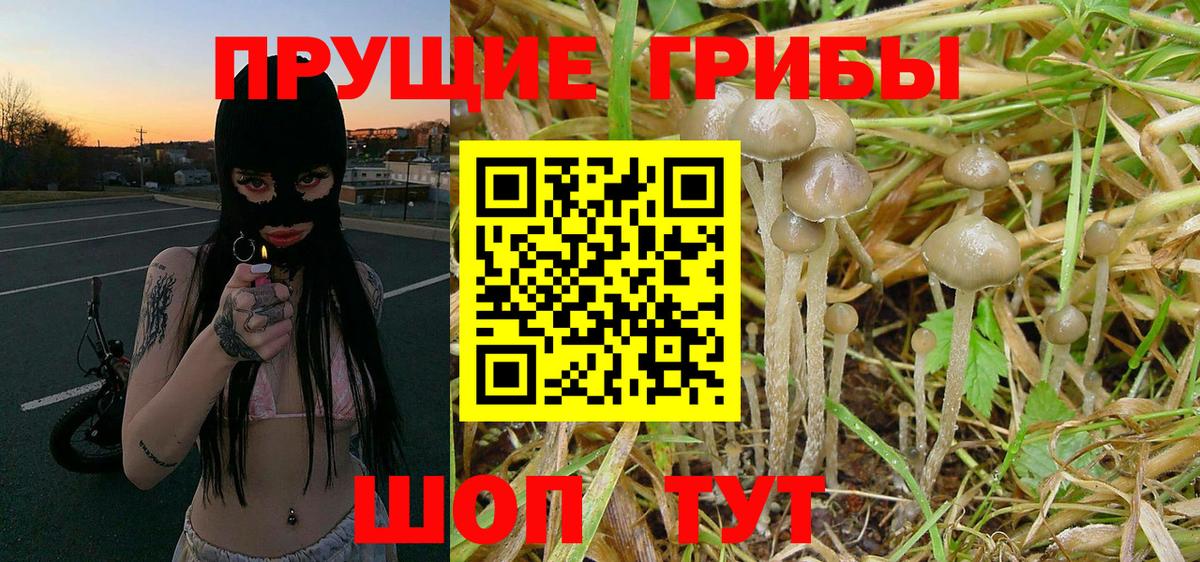Псилоцибиновые грибы мицелий  Вход с VPN  Галлюциногенные грибы Magic Shrooms  Городец 